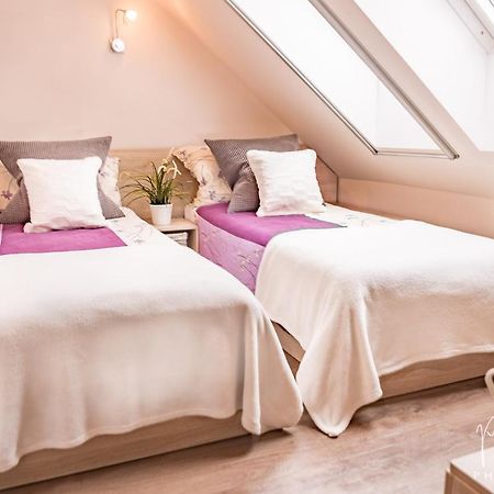 Apartman Na Lipne Фримбурк Экстерьер фото