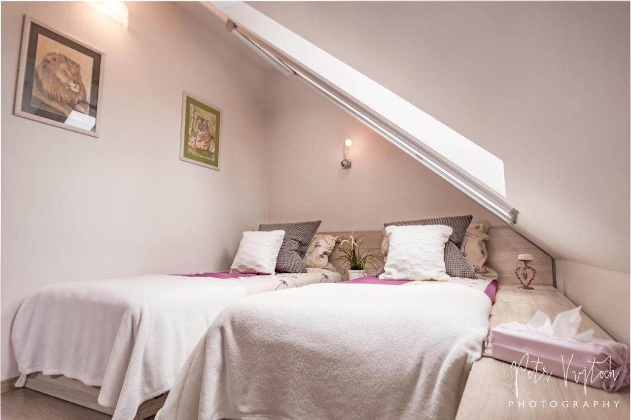 Apartman Na Lipne Фримбурк Экстерьер фото